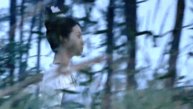 北舞才女金晨,北舞校花刘诗诗跳舞视频