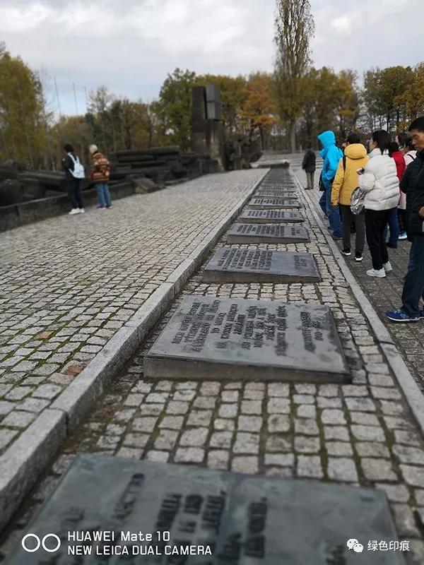 奥斯维辛集中营旅游,奥斯维辛集中营雏菊