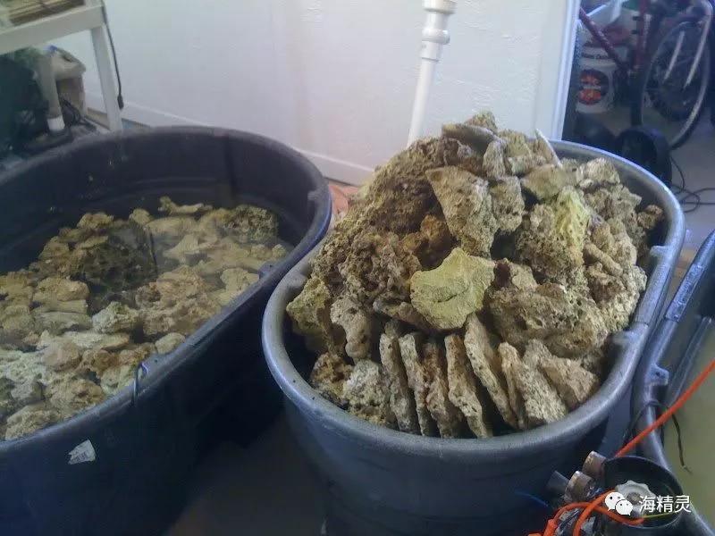 为什么容易爆藻,为什么有的人对鱼那么痴迷