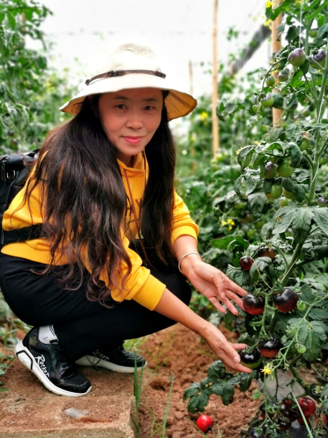 寻甸渔乐谷最新消息,寻甸欢乐世界项目大全