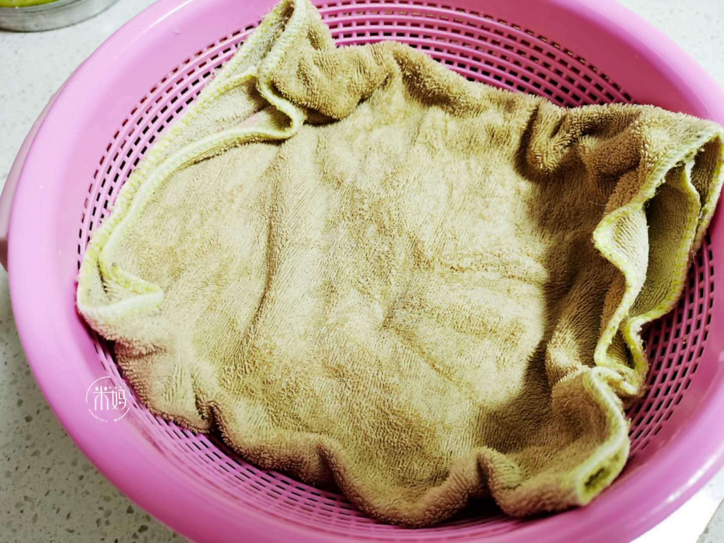 才知道生黄豆芽还能这么简单,发豆芽过程及观察记录