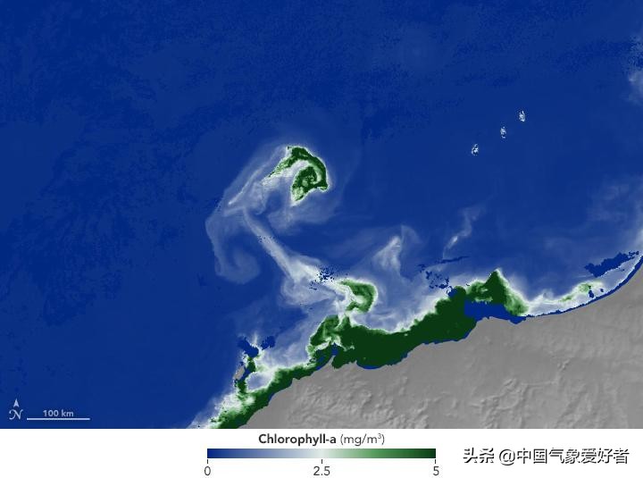 澳洲西部大片海水神秘变绿，太空可见！美国卫星数据揭开谜底
