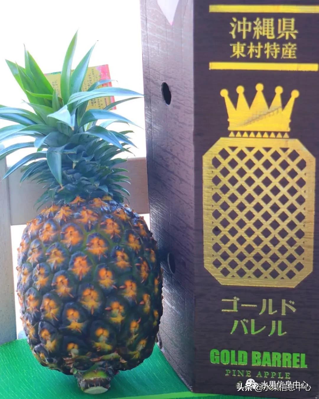 日本进口的菠萝,日本菠萝
