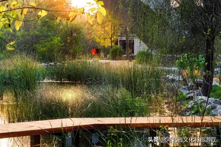 一鹿走来鹿泉,一路走来的最新视频