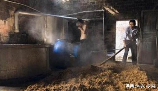 55到65岁在农村能创业什么项目,2021最有前景的10个农村创业点子