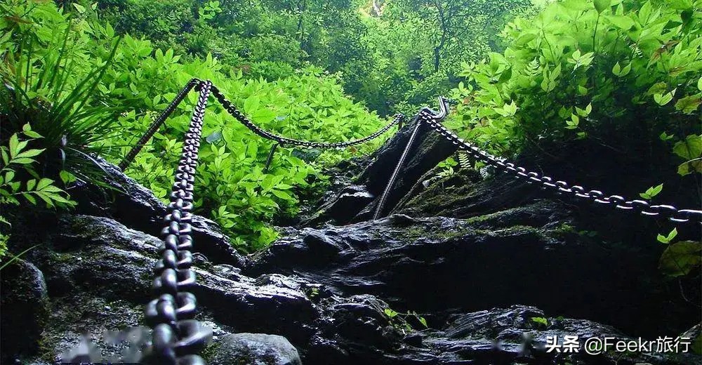 全网为阿朵淘汰鸣不平，而我想去她隐居5年的“世外桃源”静一静