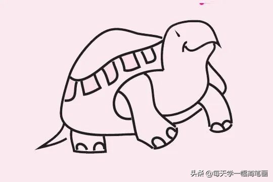 小乌龟简笔画的各种画法,如何画乌龟的简笔画教程