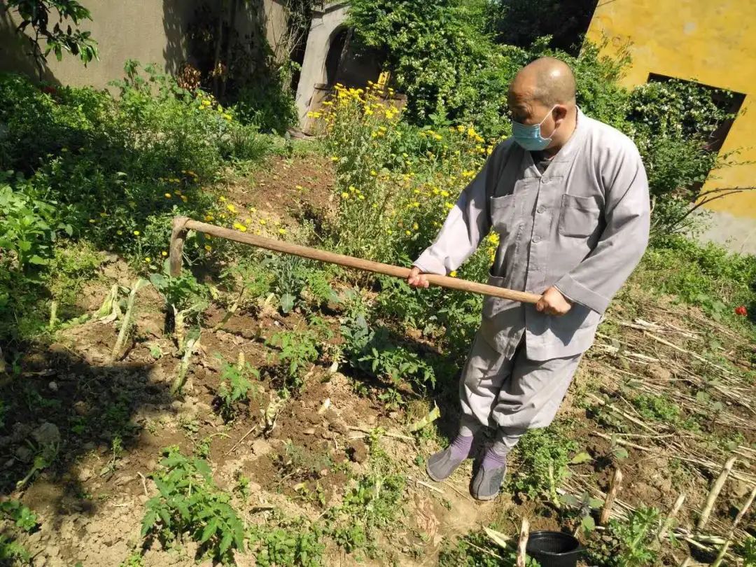 抢抓农时开展农业生产,农民纷纷抢抓春耕生产有利时机