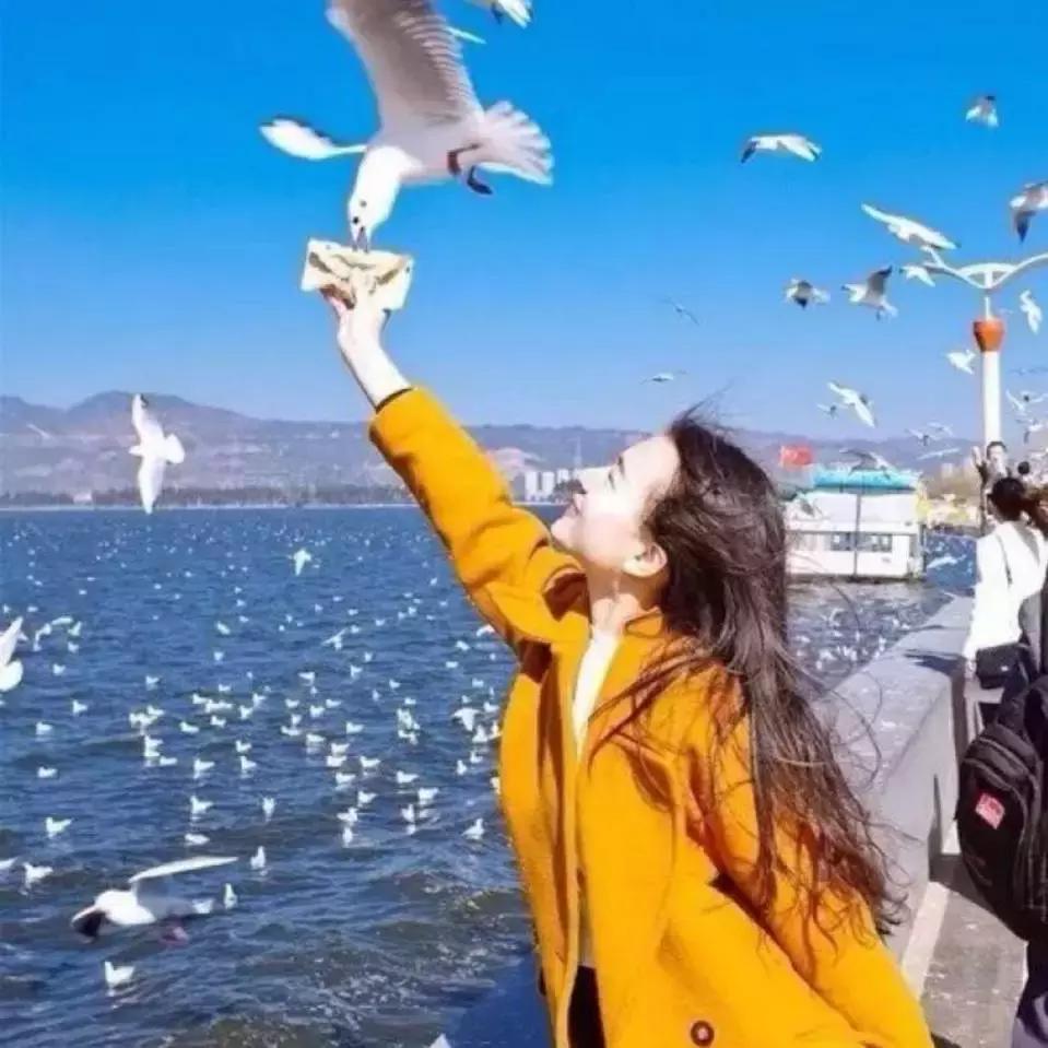 好诗推荐加赏析150字,沧浪诗社最好的诗