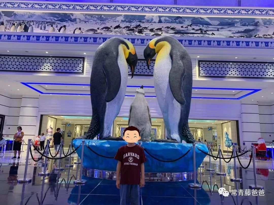 广州长隆游玩攻略水上乐园怎么去,过年去珠海长隆海洋王国游玩攻略