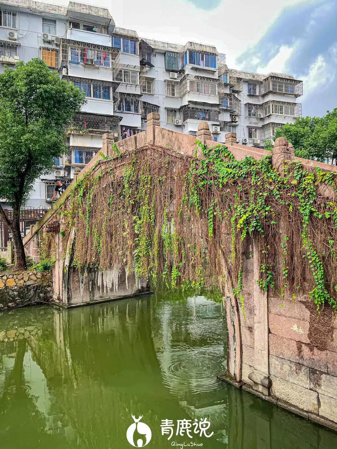 南塘老街有什么值得吃的,逛老街吃老味道