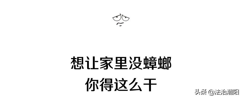 灭蟑螂最好的方法一招解决,蟑螂怎么灭杀最好方法