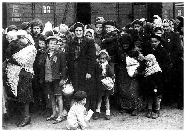 恐怖的纳粹*党**卫军和秘密警察