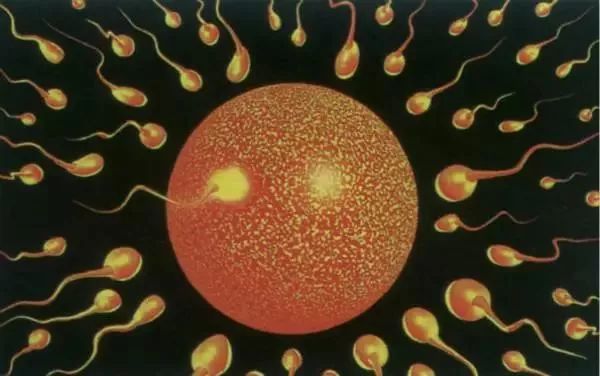 施一公量子纠缠被实验证实,施一公量子纠缠效应