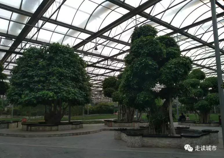 走读城市之廊坊安次（八）：九天休闲谷