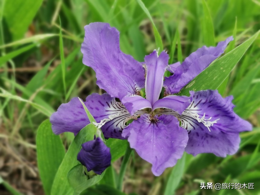 黄河湿地公园郑州要门票吗,郑州黄河湿地公园是否免费