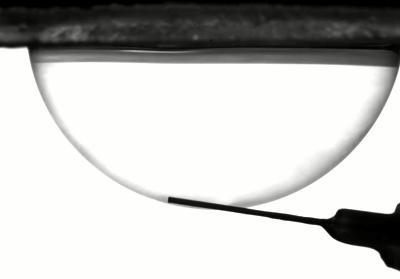 才下又上,nature期刊最新封面