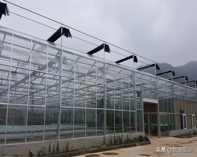 专业的玻璃温室大棚建造,温室大棚生产及设计