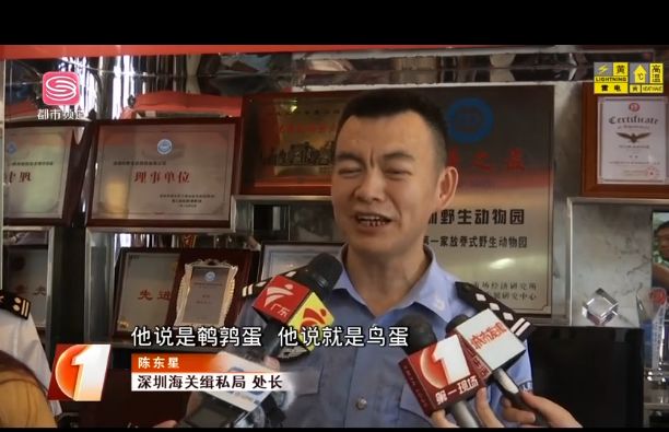 女子腰缠万贯被查获,女子腰缠624条金项链过海关