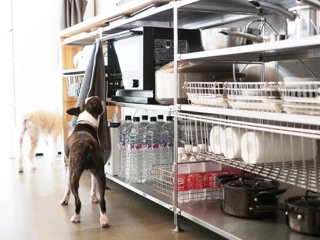 muji十大必买小物,muji十大必买品