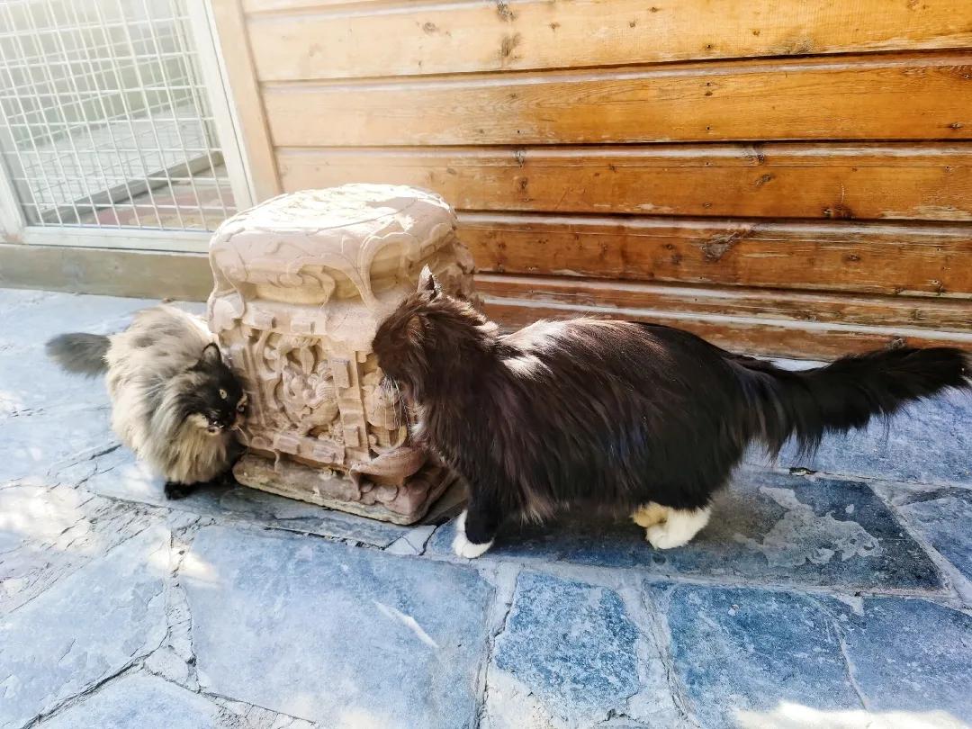 拼头条吗？好姐妹就要一起上啊