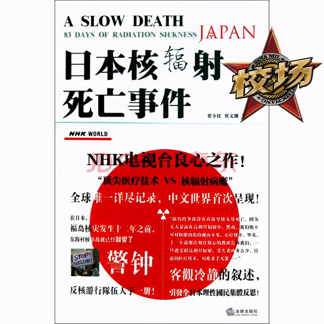 辐射工兵cosplay上海漫展,上海漫展辐射工兵