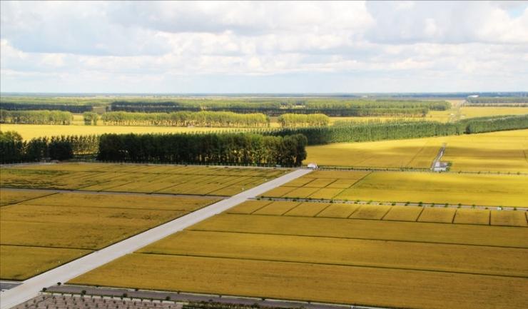 北京法拉利车牌a00001,中国首辆法拉利00001值多少钱