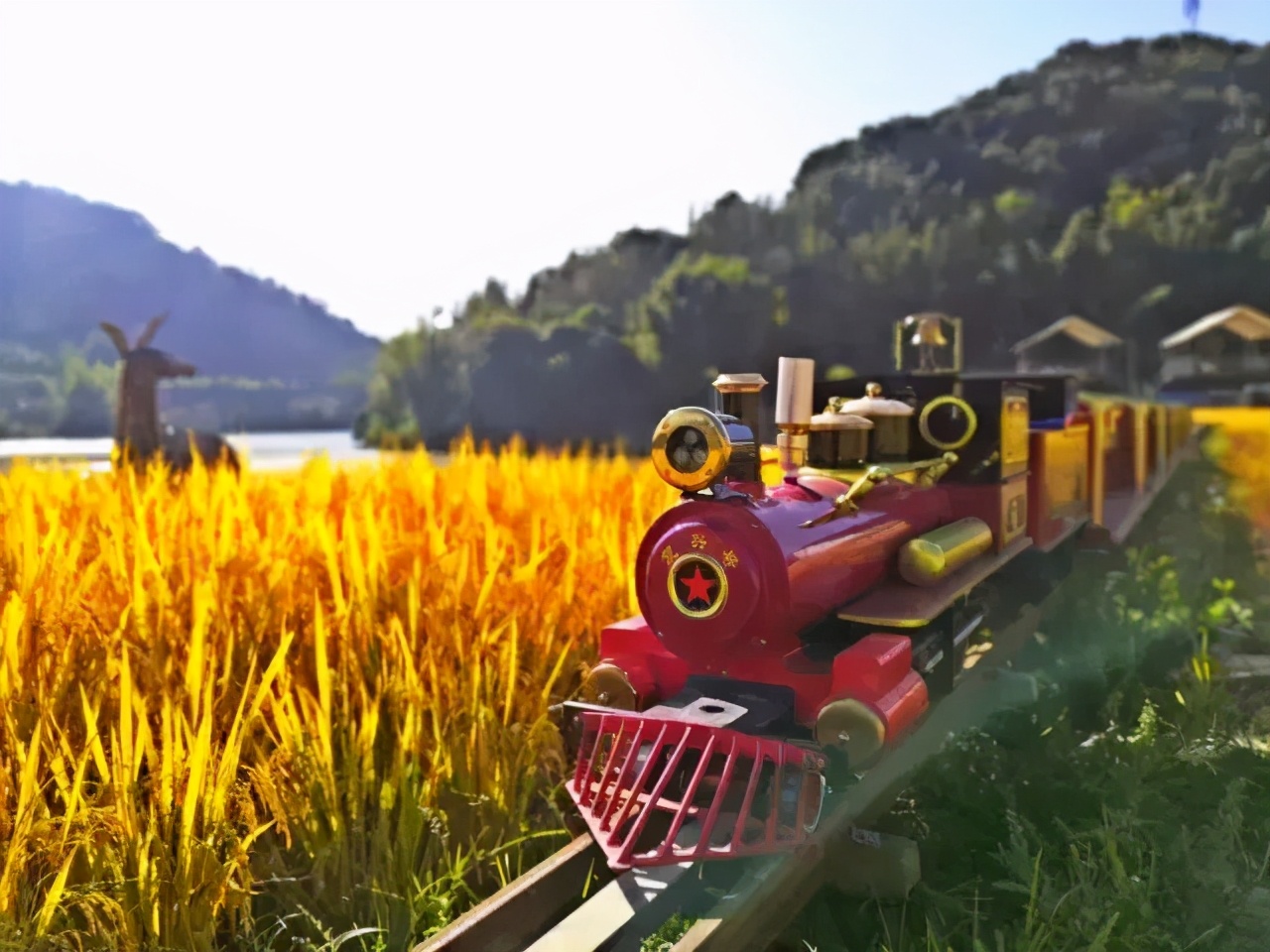 柿柿如意今秋造访最美柿子乡,金秋十月收获的季节柿柿如意