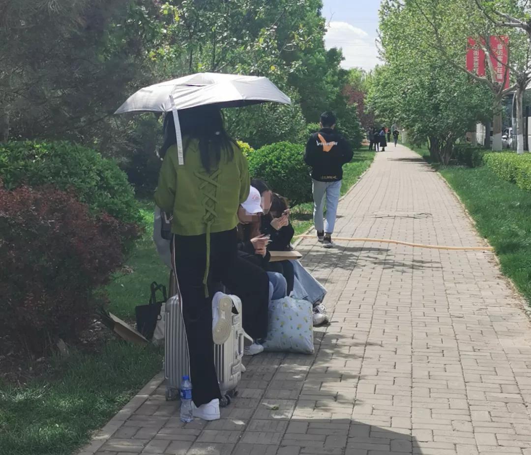 选秀节目为什么要当评委,选秀为什么叫选秀