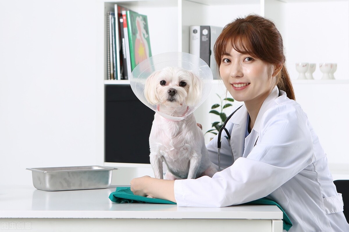 细小病毒会通过什么传染,细小病毒对人的影响