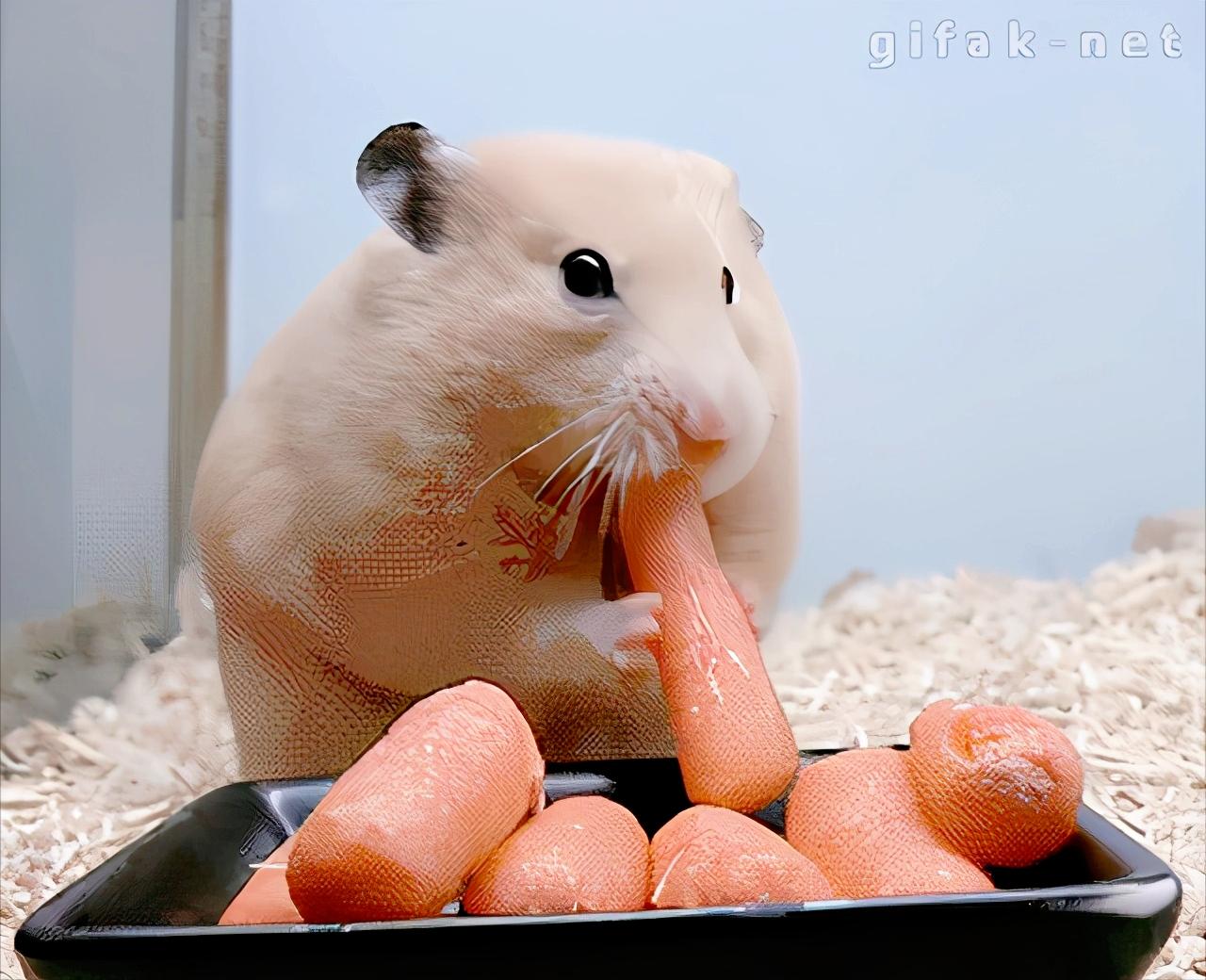 导致口臭的原因有什么呢,口臭的原因一招解决