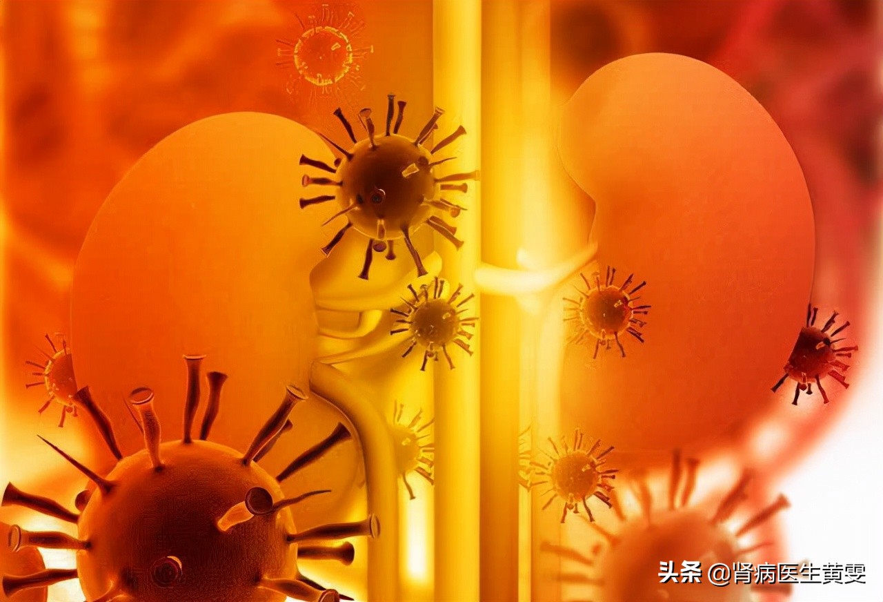肾病肌酐900为啥不透析？中西医用药降肌酐，这些方法稳定肾功能