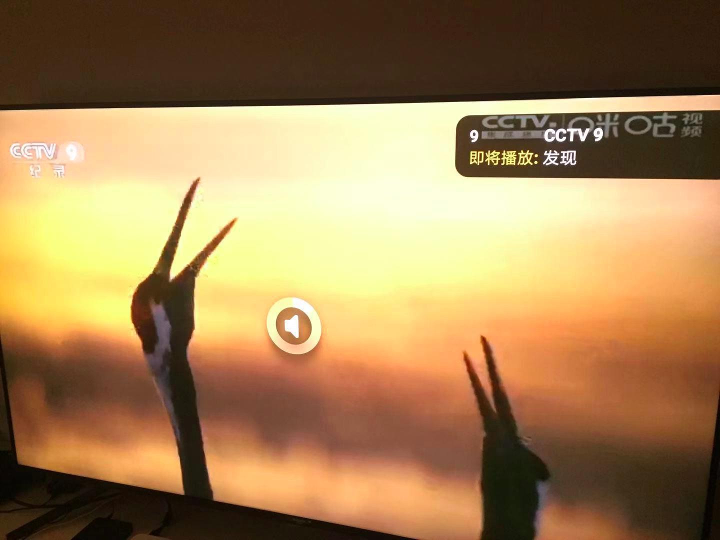 海美迪q2盒子评测,不看广告看实战