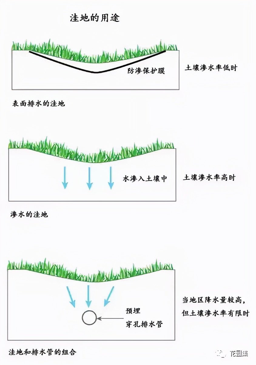 菜地积水最佳排水方法,庭院菜地排水补救方法