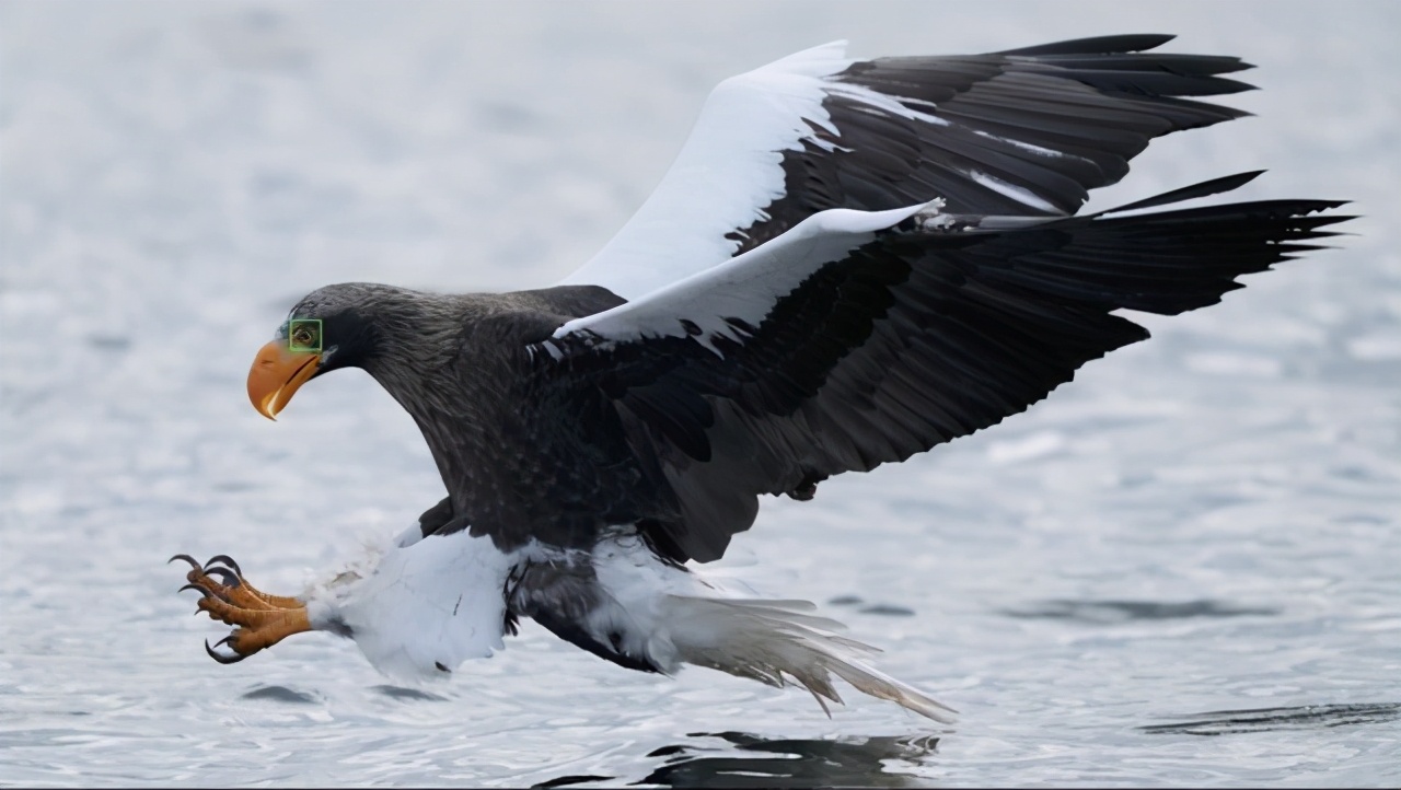 索尼alpha1全画幅微单开箱,索尼alpha1全画幅微单