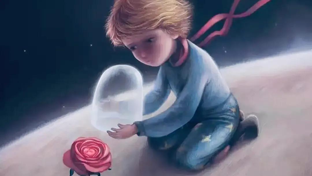 听,夜莺一直在歌唱(十四)