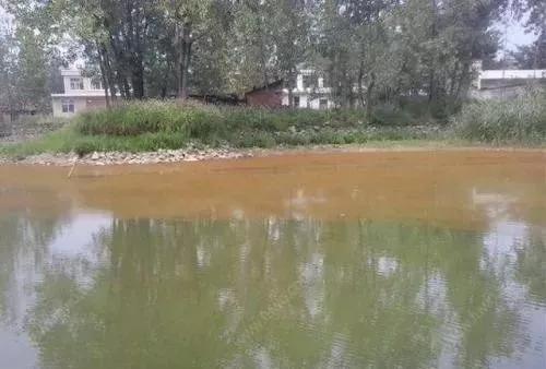 塘中的铁锈水是怎么回事,铁锈水的解决方法