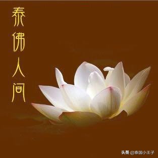 佛牌的禁忌和注意事项,佛牌摆放禁忌