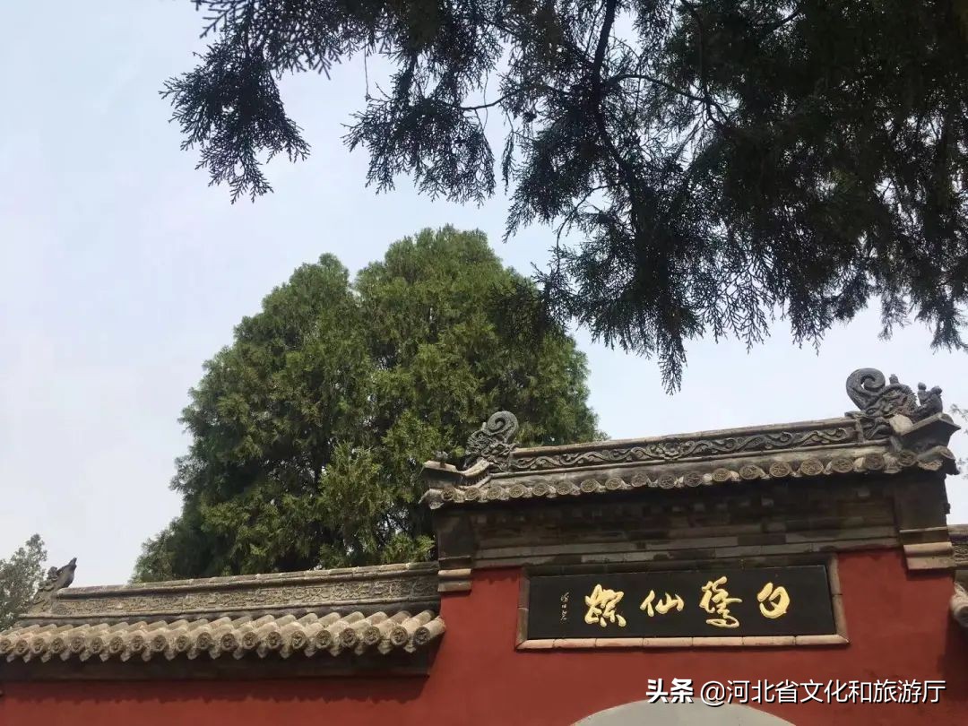 什么魅力?让一场黄粱梦穿越千年