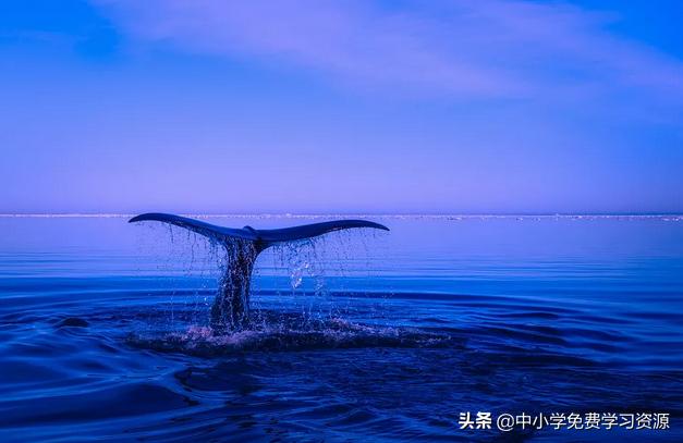 小学词语积累带造句带解释,小学1-6年级必考成语造句