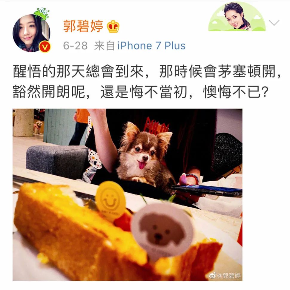 郭碧婷试管生孩子吗,郭碧婷是不是很幸运嫁了豪门