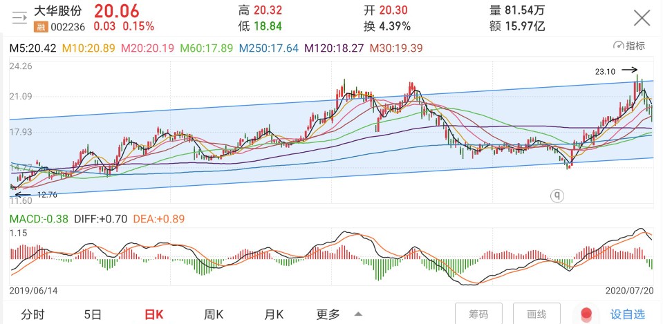 大华股份安防老二能否逆袭,大华股份未来10年估值