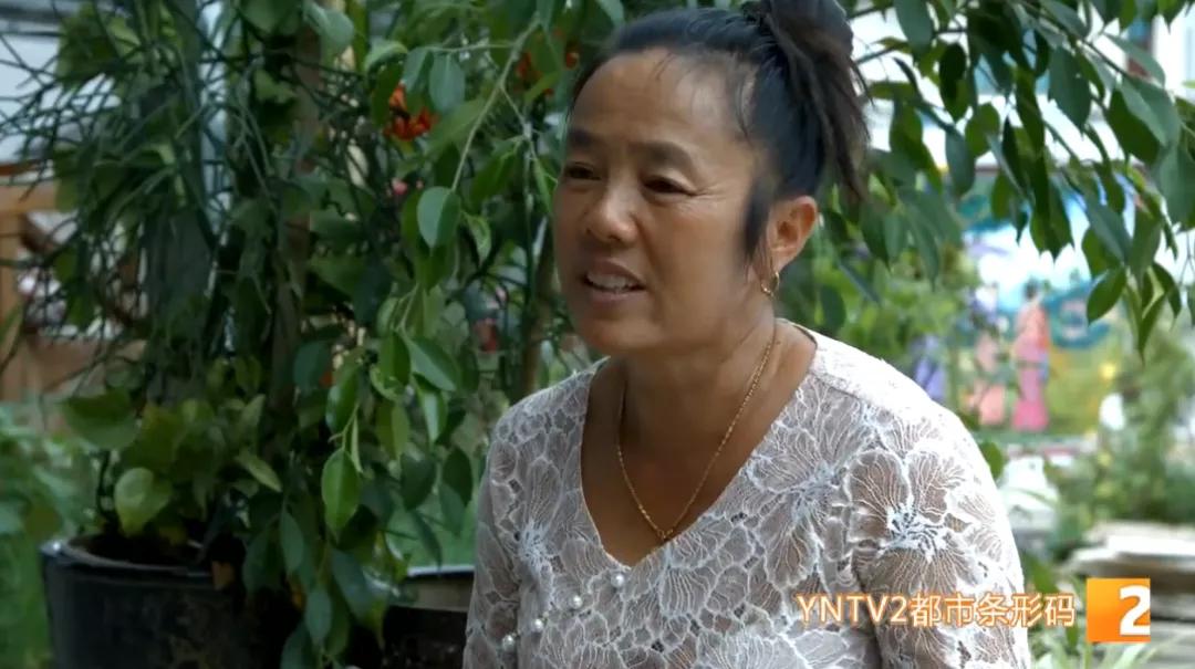 向往的田园生活打卡景点,向往的田园生活旅游