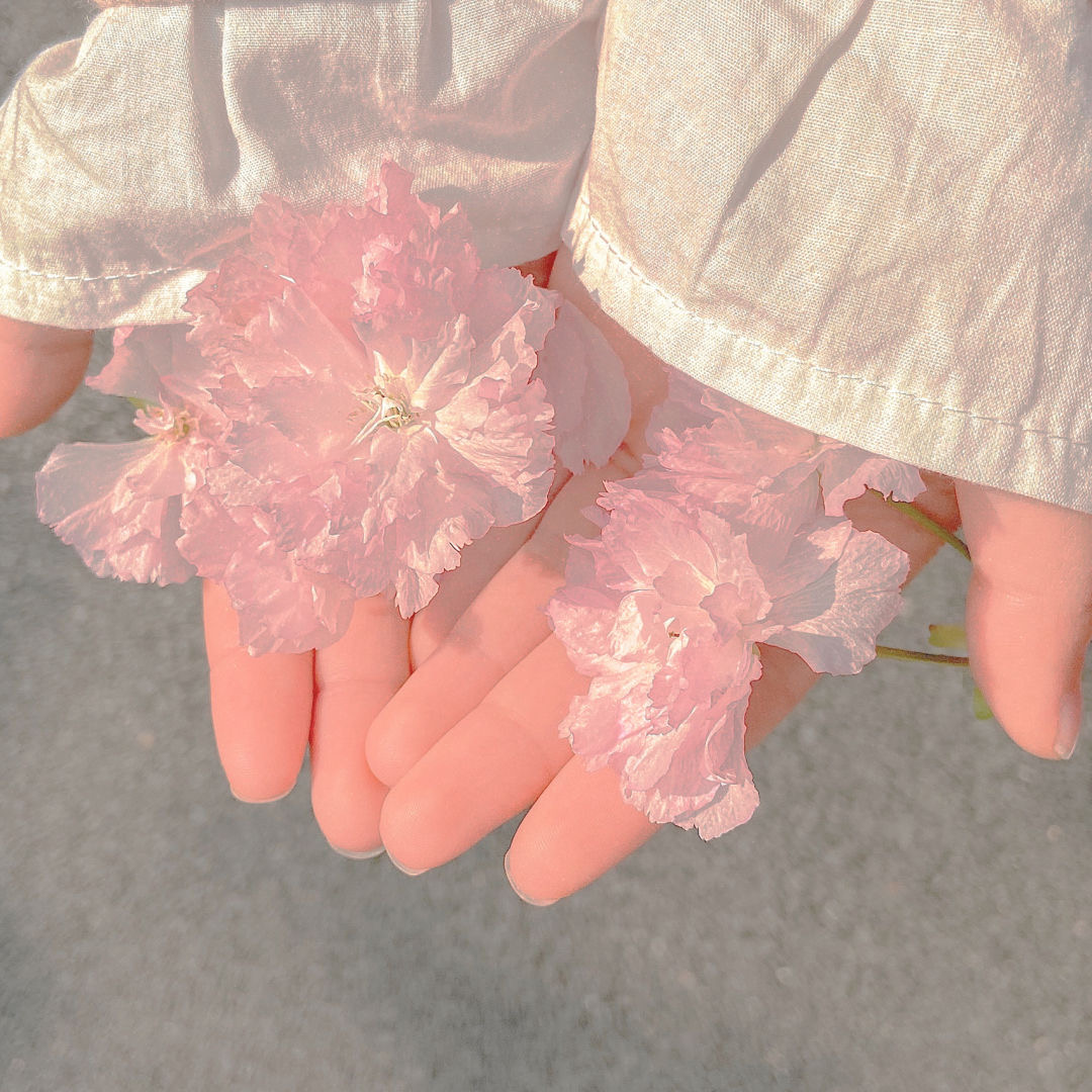 背景图片唯美仙气高清,朋友圈背景图唯美