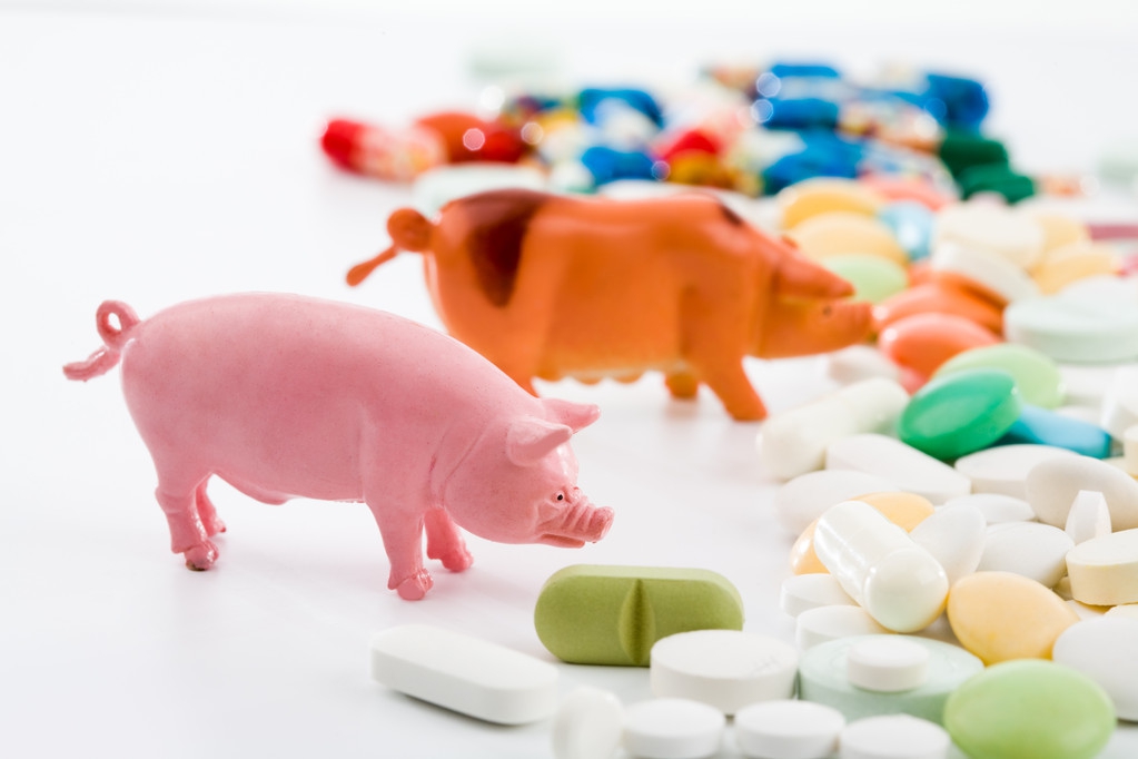 猪场链球菌感染用什么消毒好,养猪人如何才能防止感染猪链球菌