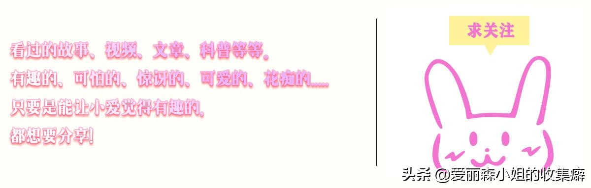 6个不要成为名人的原因——1位名博主兼作家的亲身体会