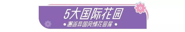 深圳史上最大最美的花展来啦,走进深圳仙湖植物园的国际花展