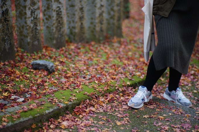 京都赏枫2022,京都赏枫必去景点有哪些好玩的