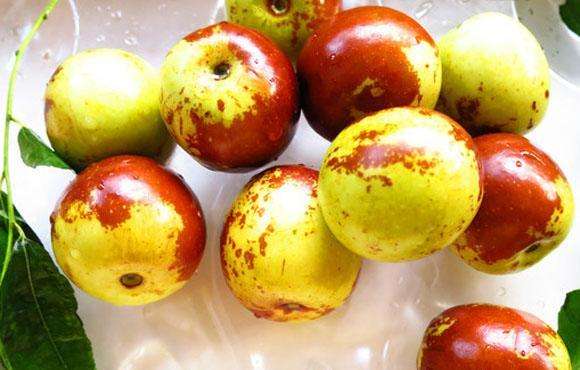 男性吃韭菜,能不能“助性”?营养师辟谣:韭菜成分并无特殊之处