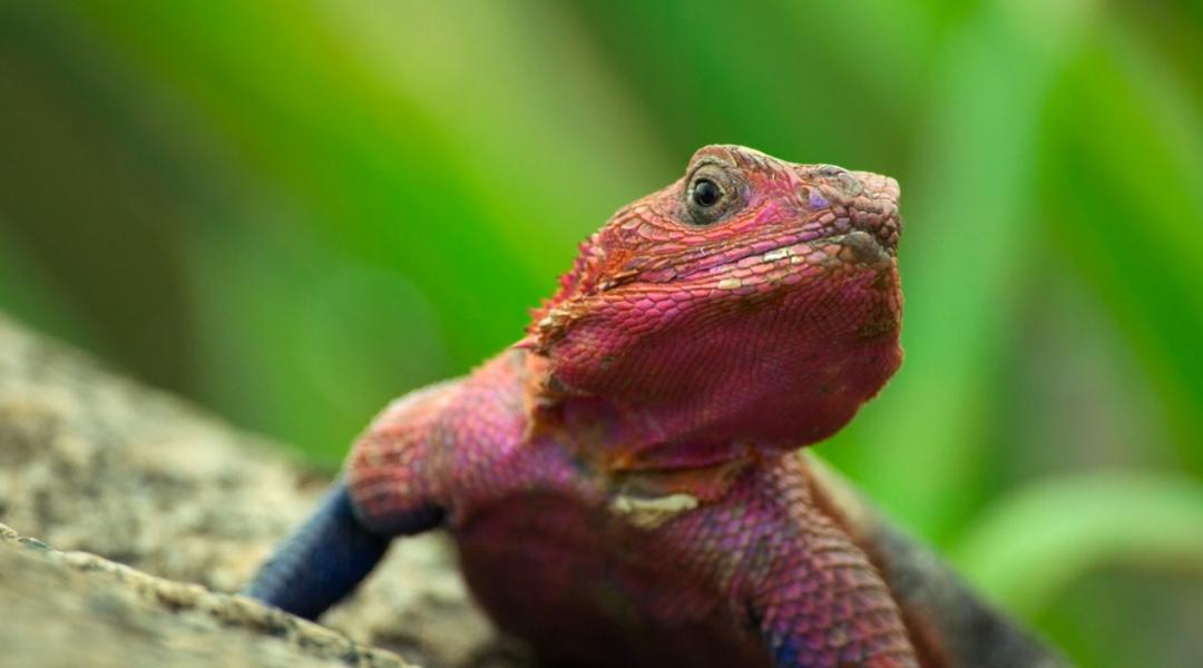 豆瓣9.6！娃刷到停不下来，还能看出人生大道理